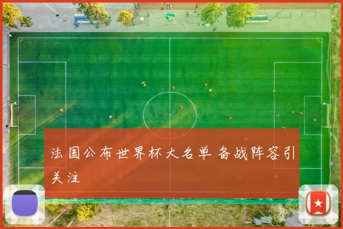法国公布世界杯大名单 备战阵容引关注