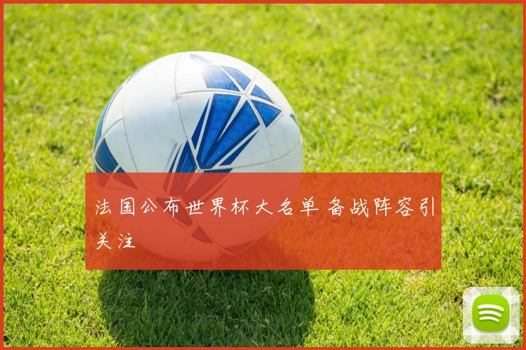 法国公布世界杯大名单 备战阵容引关注